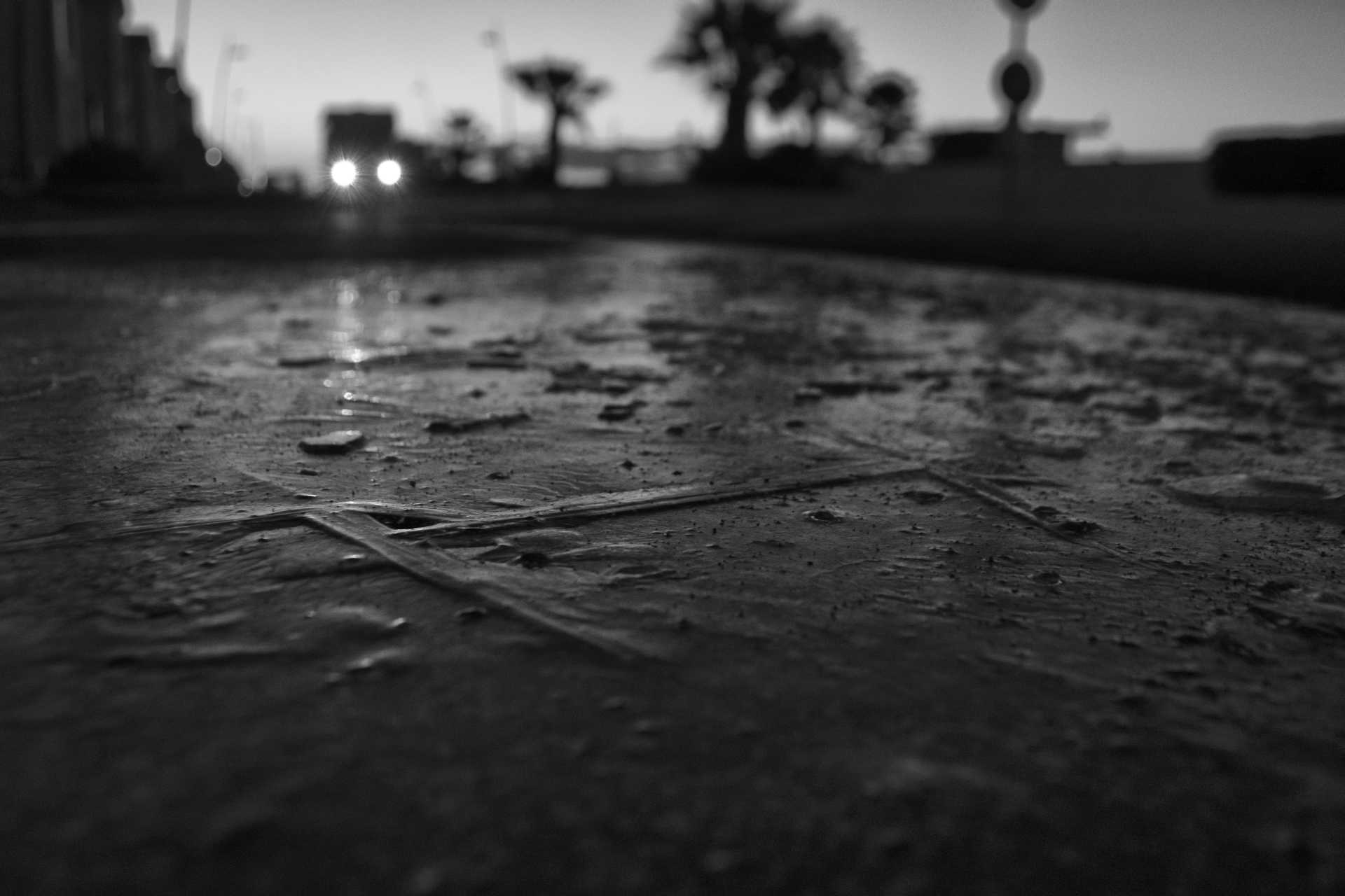 Sculture naturali di ghiaccio a Ostia